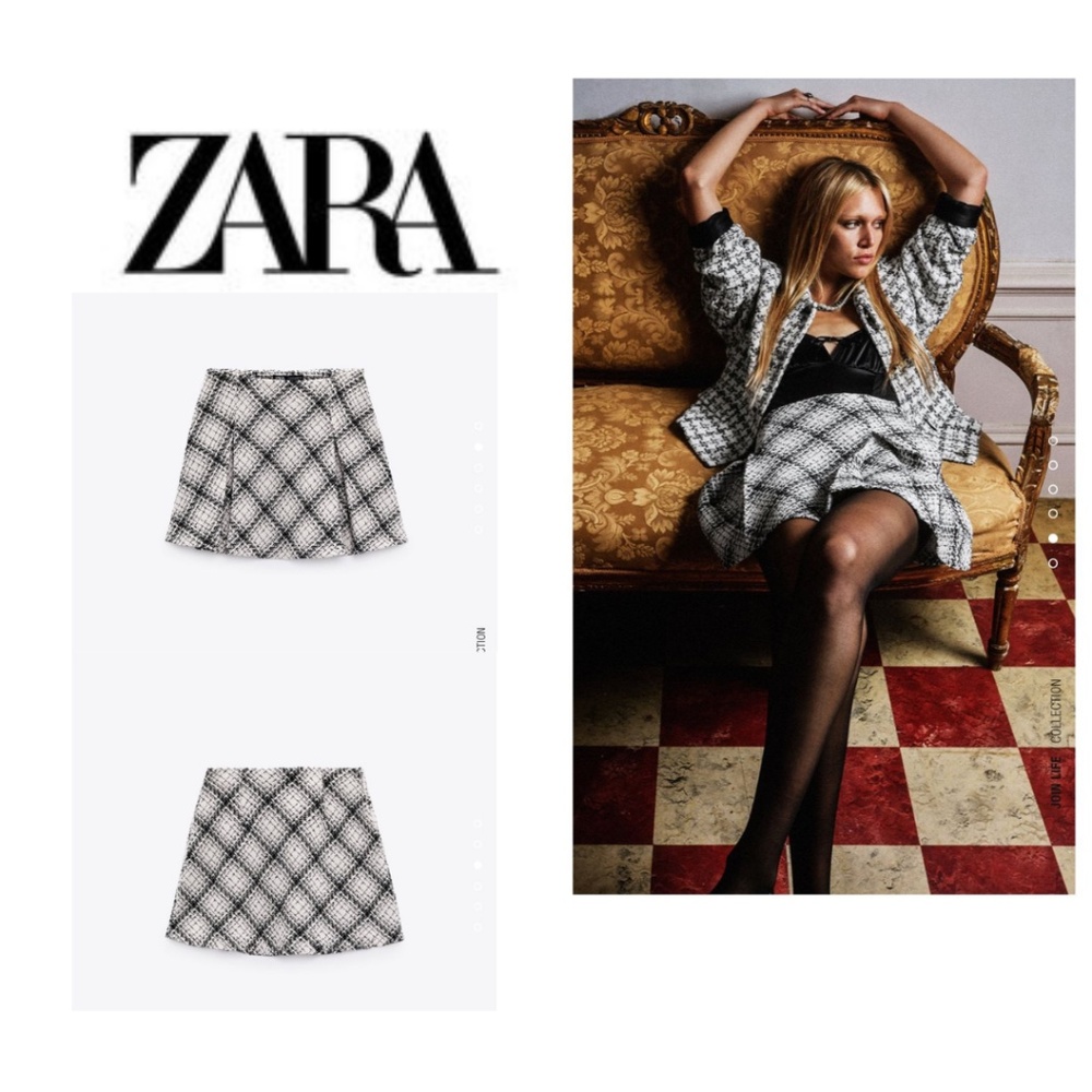 NWOT Zara Pleat Mini Skirt